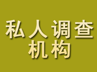 镇巴私人调查机构