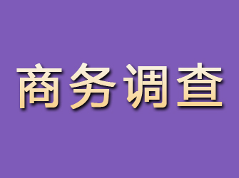 镇巴商务调查